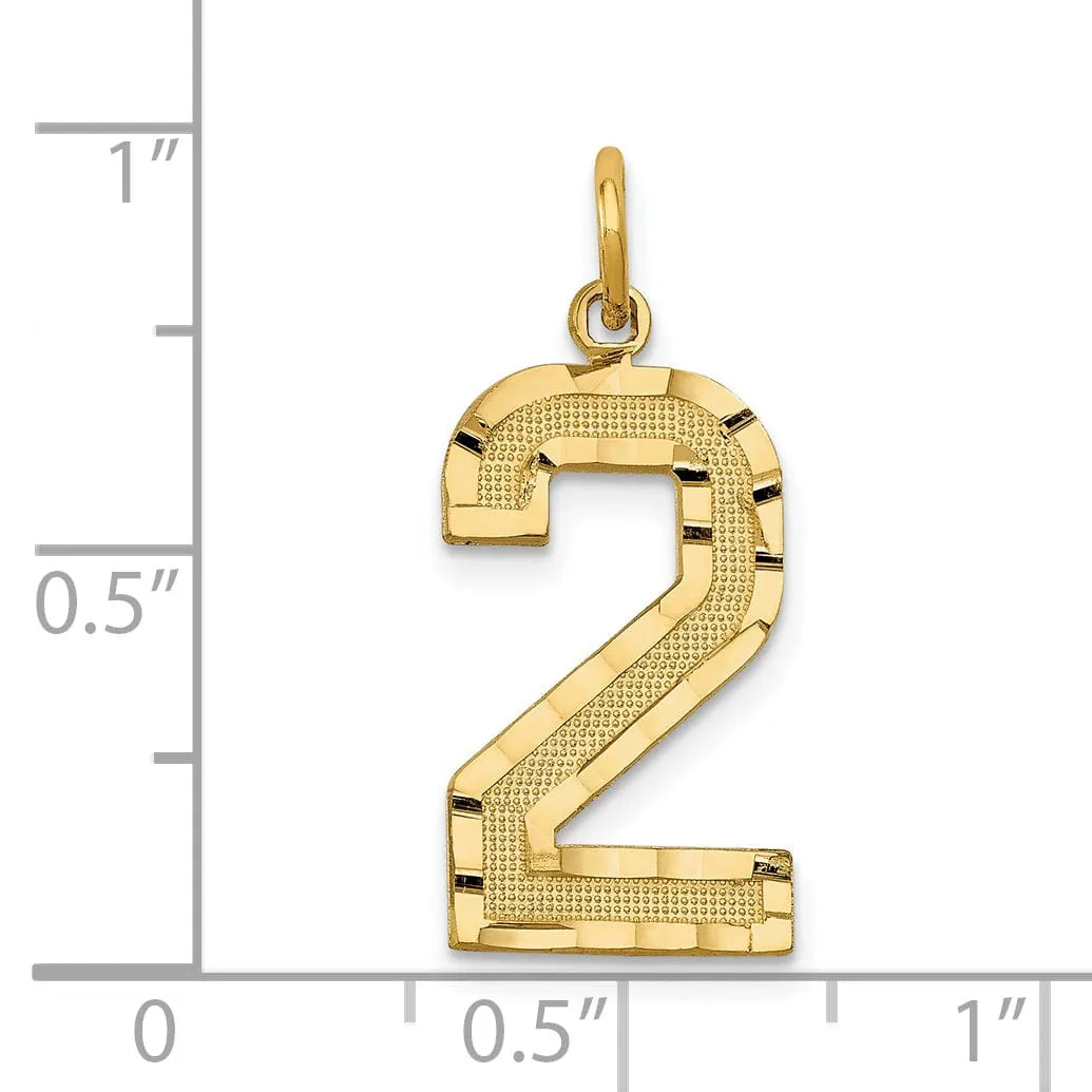 14k Yellow Gold Diamond Cut Texture Finish Large Size Number 2 Charm Pendant