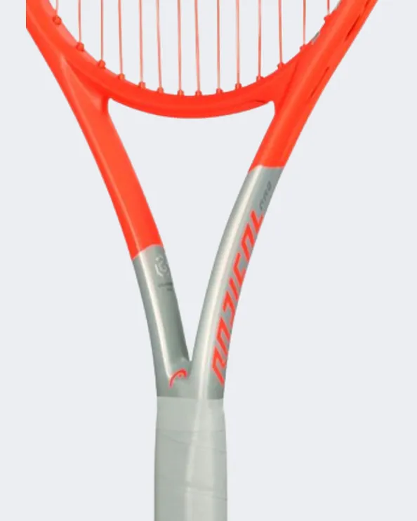 234101 (21) Radical Pro