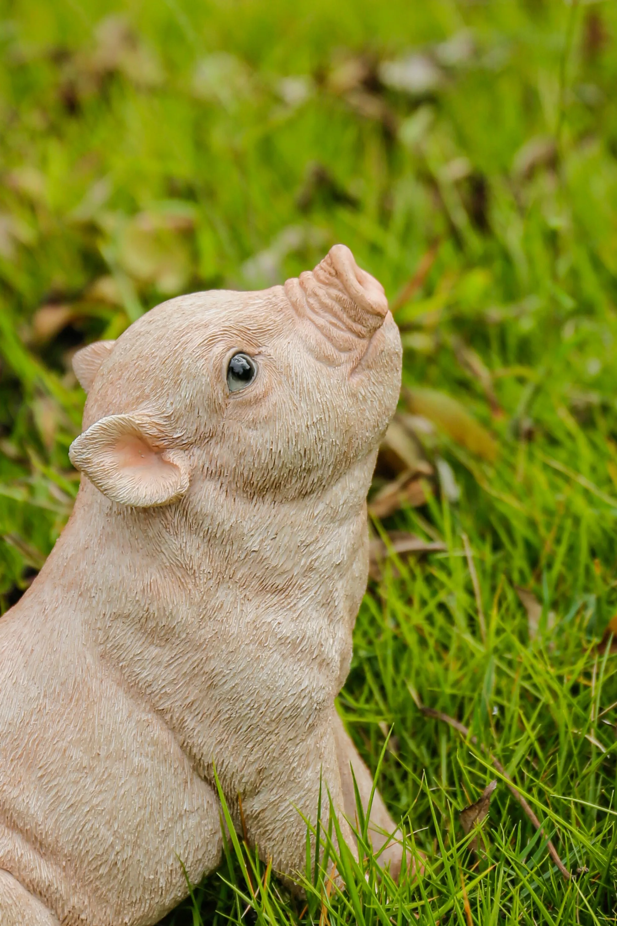 Baby Pig Sitting - Pink