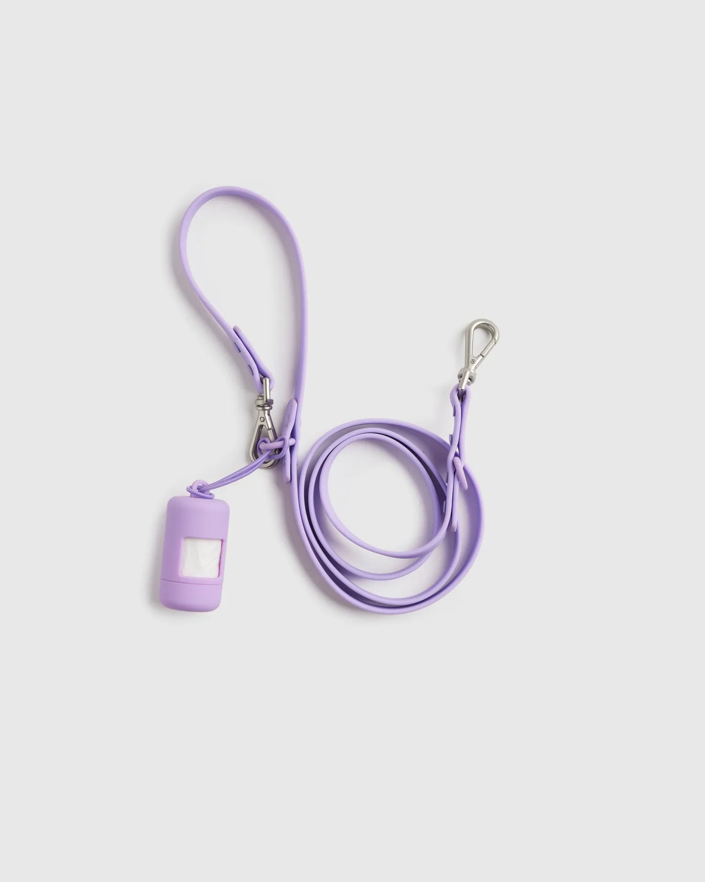 Dog Collar Walk Kit