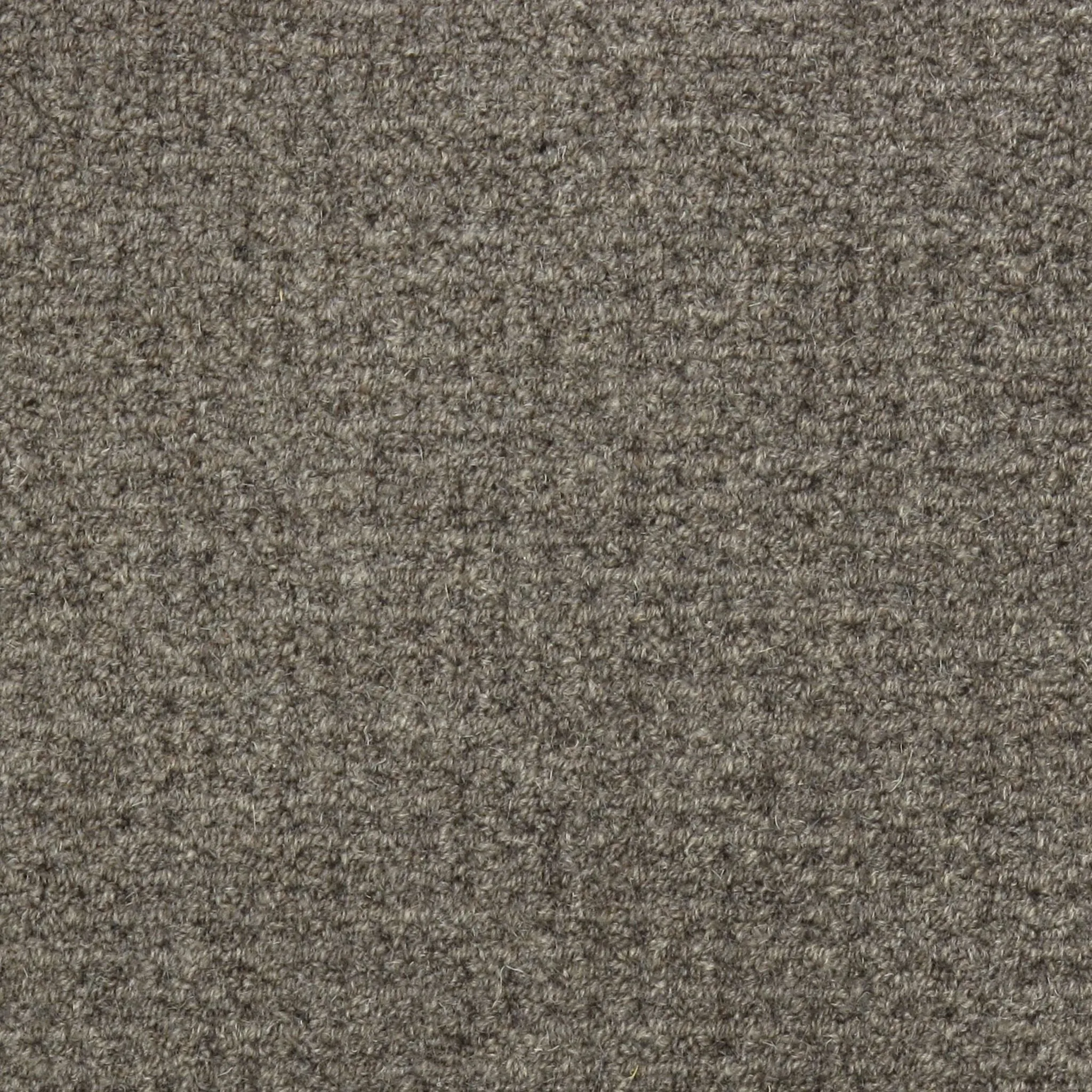 Erasmus Tufted Carpet, Schooner