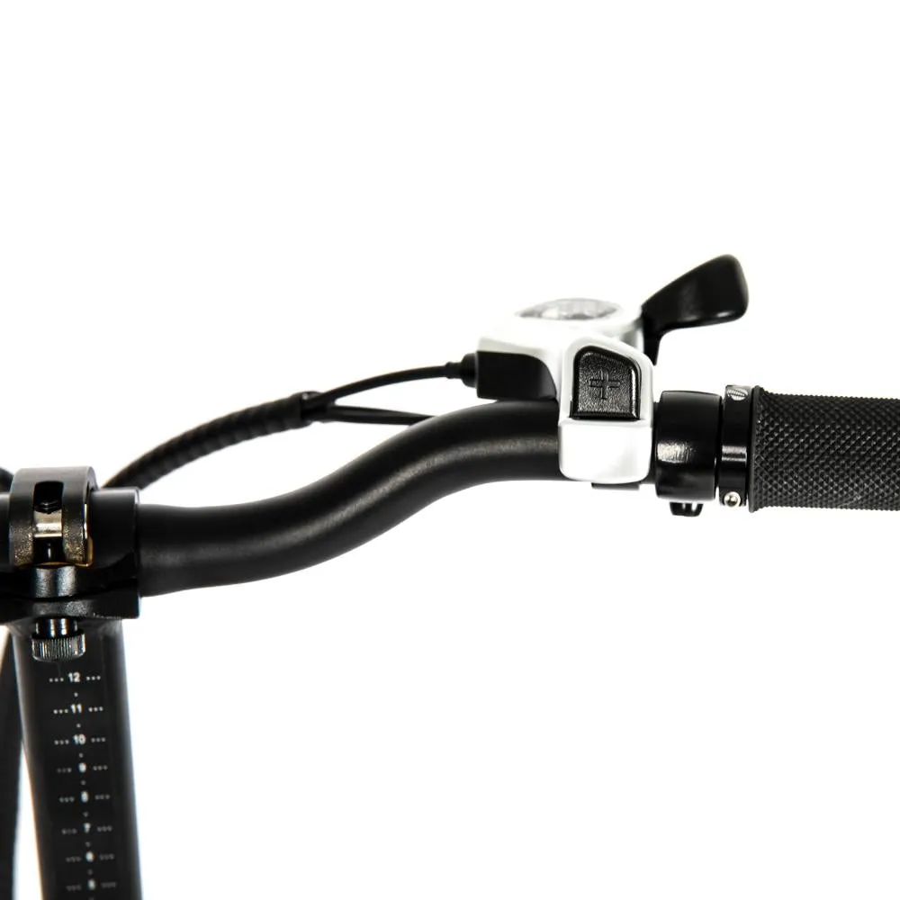 Eunorau 48V 500W 20'' E-FAT-MN Foldable Fat Tire Commuter Electric Bike