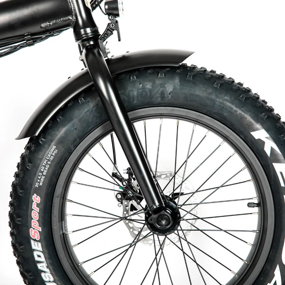 Eunorau 48V 500W 20'' E-FAT-MN Foldable Fat Tire Commuter Electric Bike
