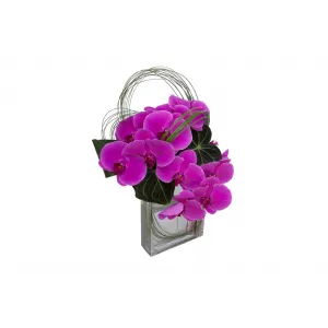 Fashion Fuchsia