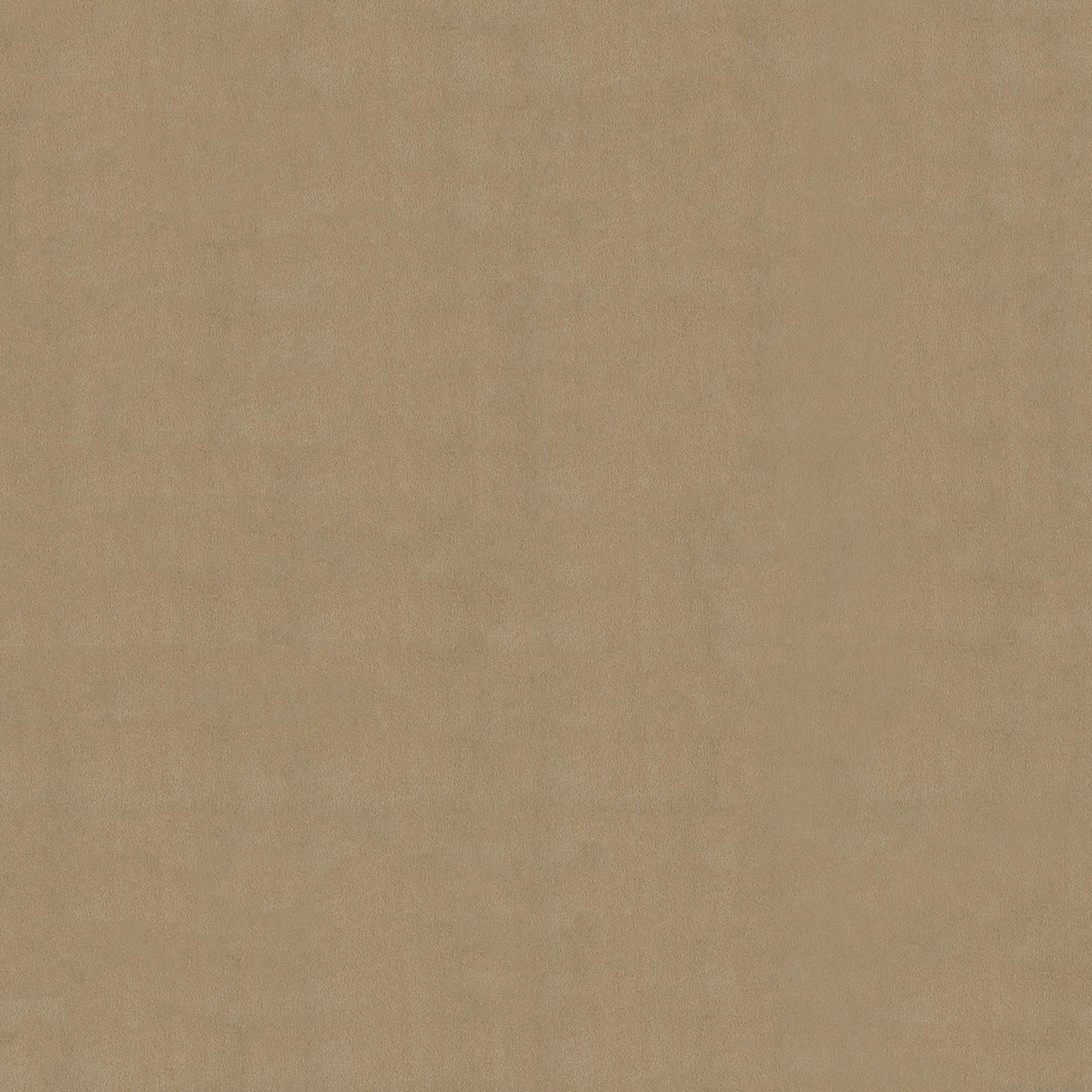 Indy Tufted Carpet, Barley