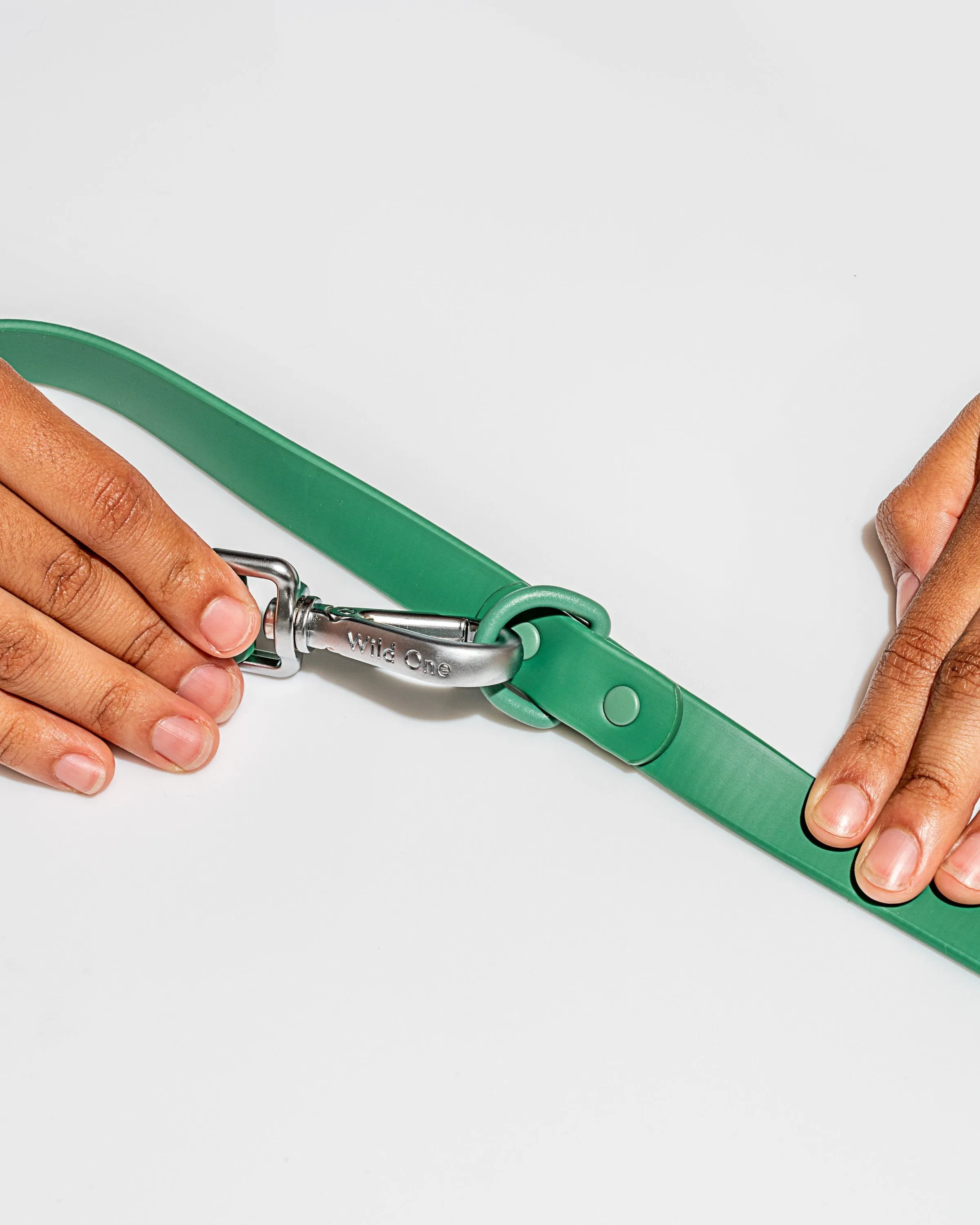 Leash