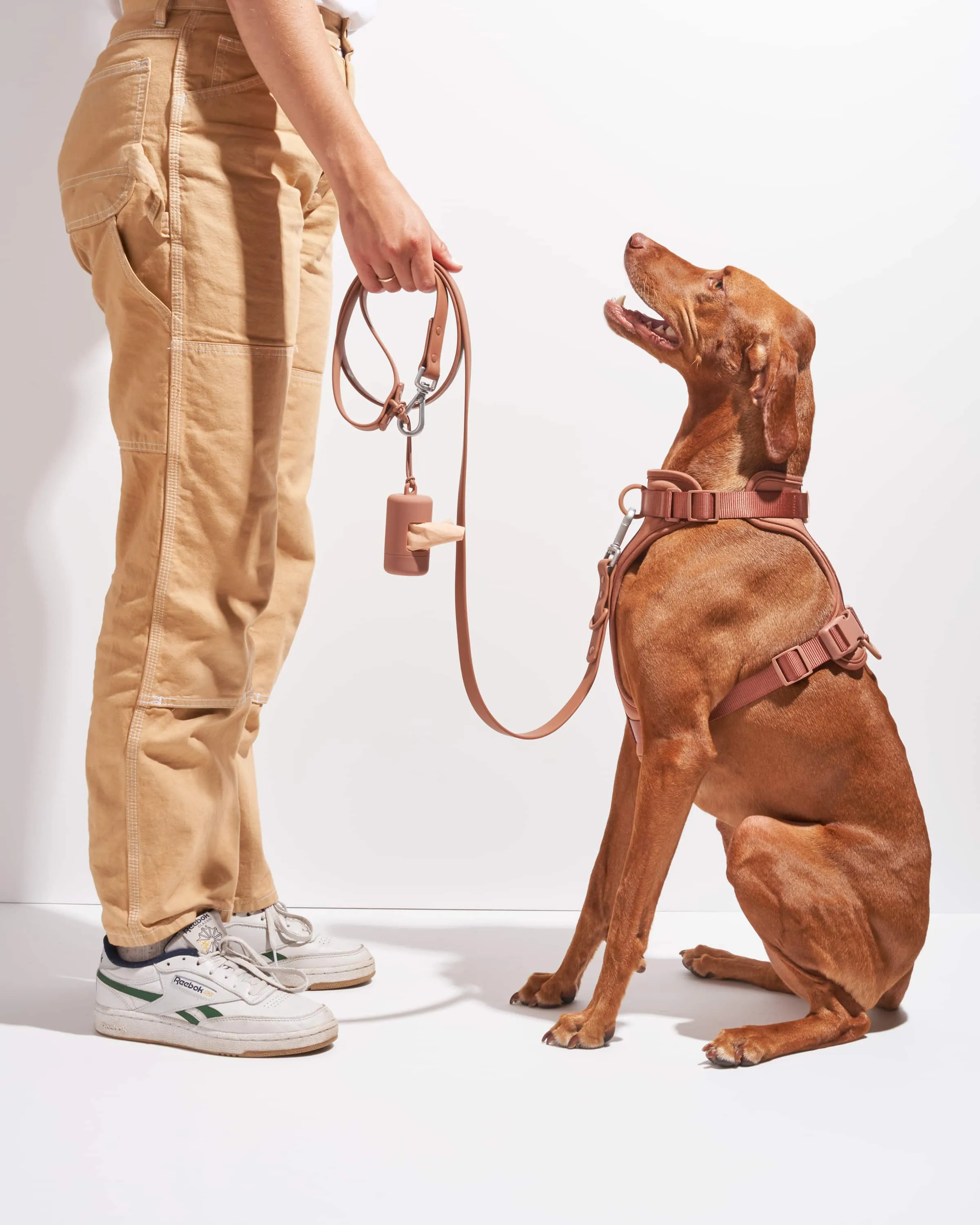 Leash