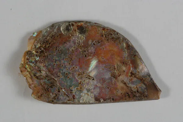 Native American Prehistoric California Abalone Pendants