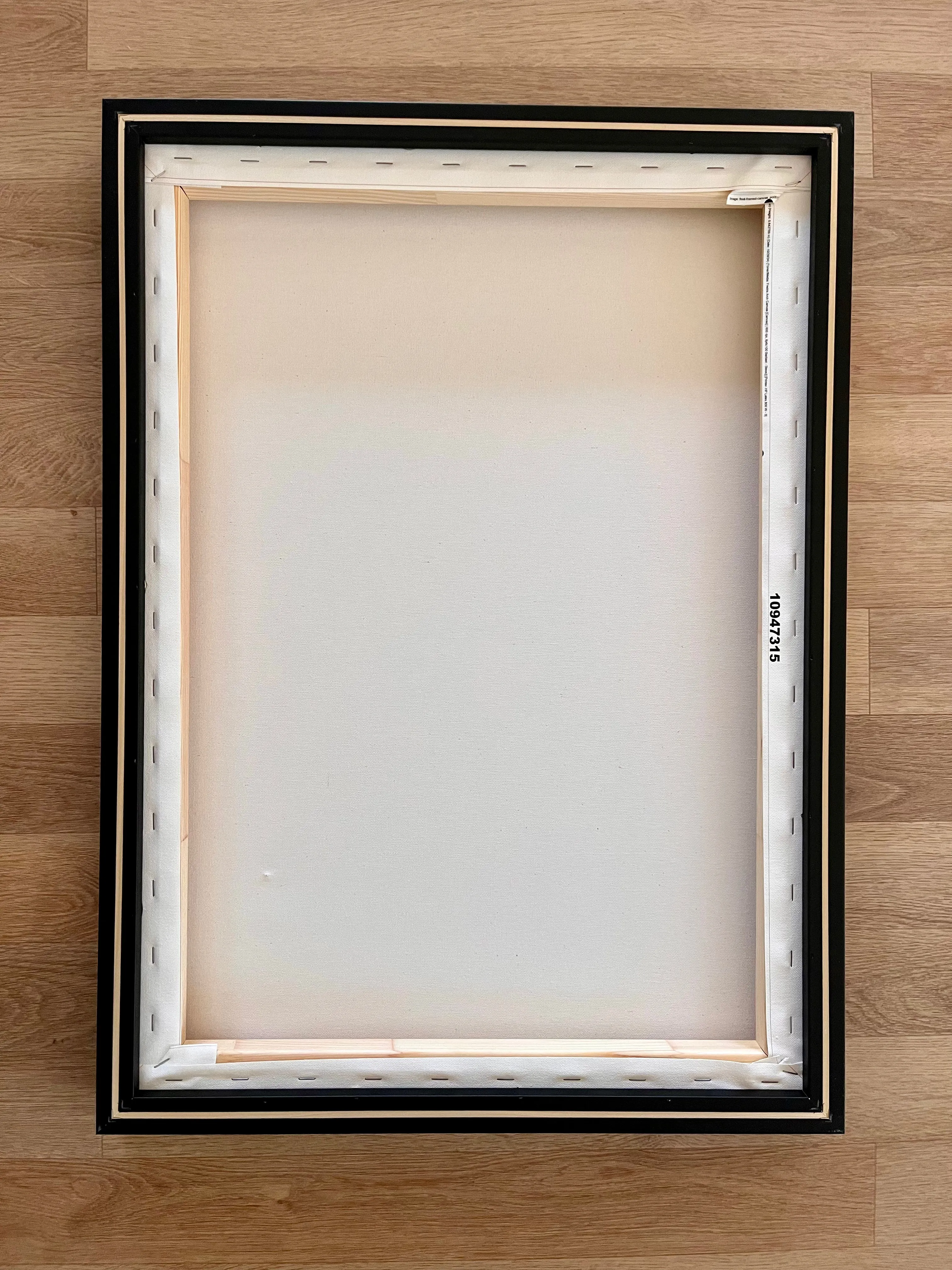 Peek Beyond the Pika Canvas Print