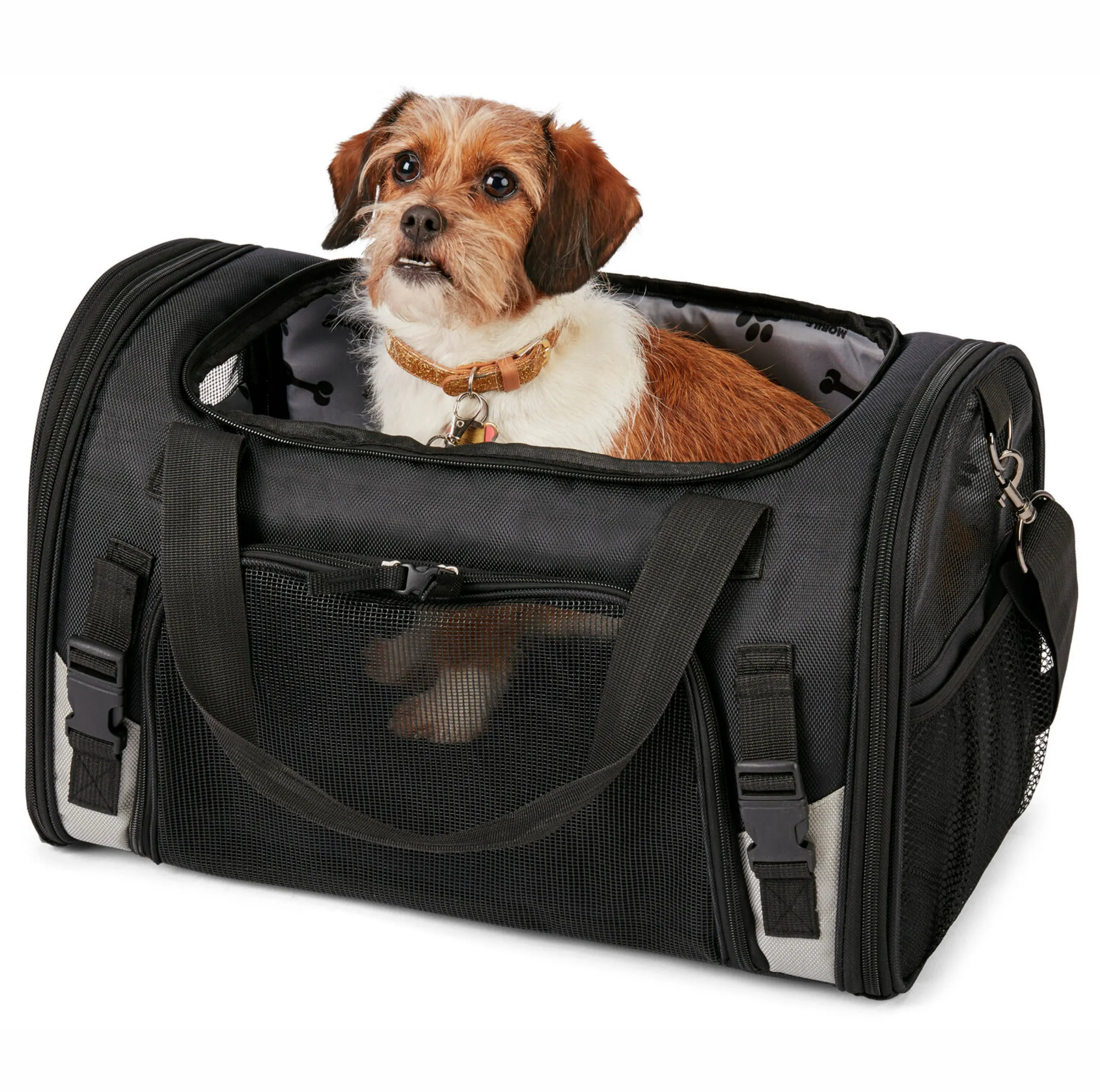 Pet Carrier Plus ~ Black