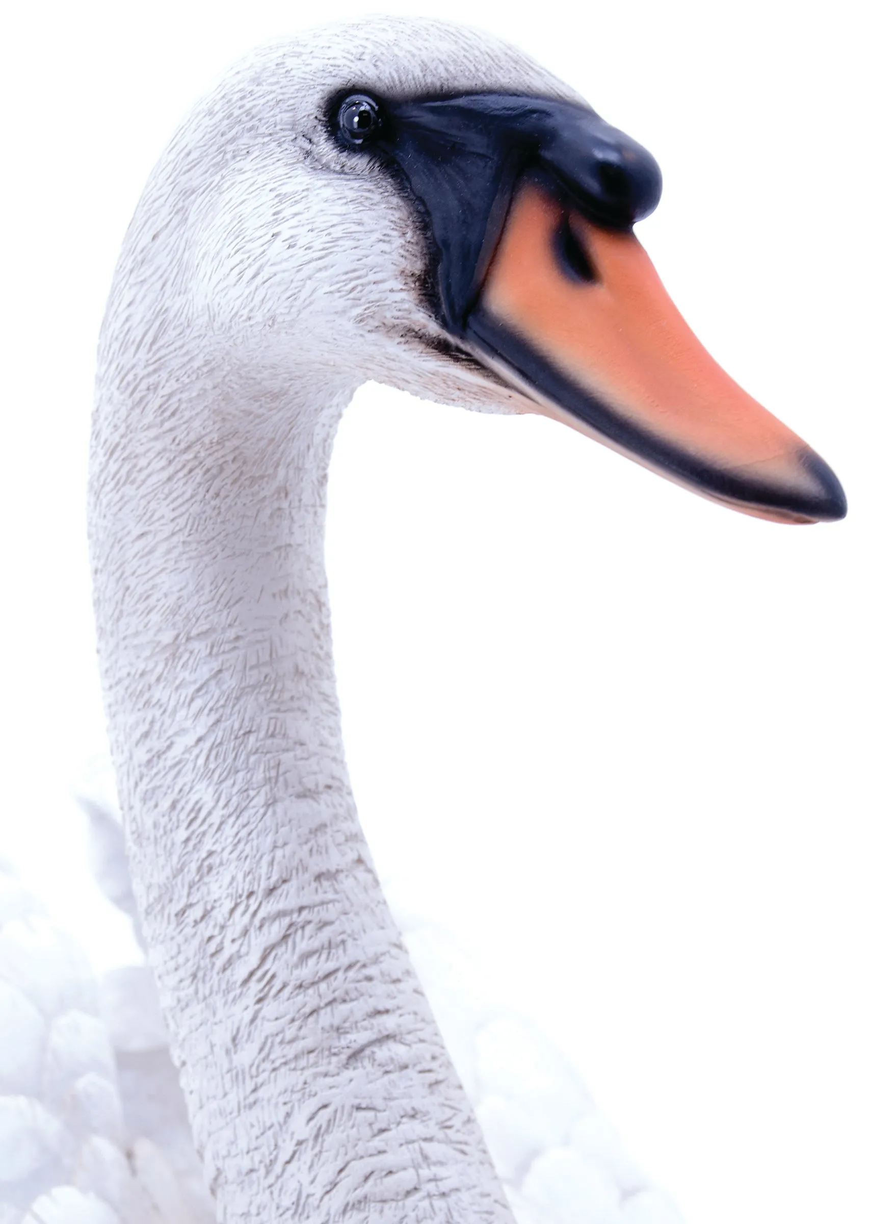 Swan Statue