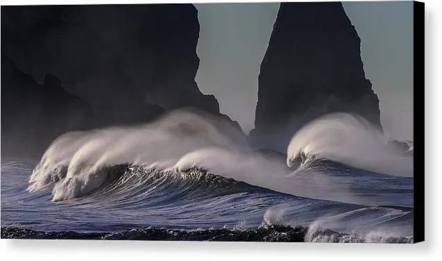 Tidal Wave - Canvas Print