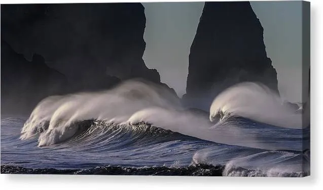 Tidal Wave - Canvas Print